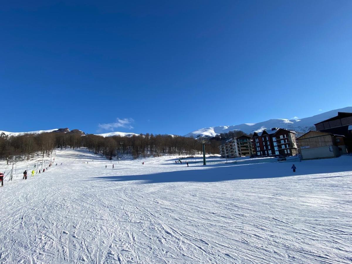באקוריאני Snow Pine Suite - 4 Star Resort מראה חיצוני תמונה